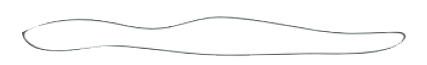 cloud-01.png